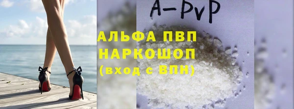 гидра Алексин