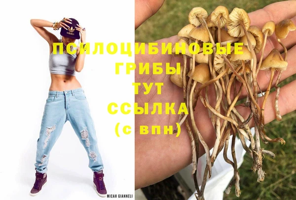 первитин Абинск