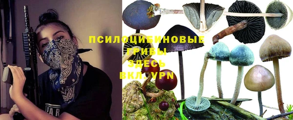 дурь Алзамай