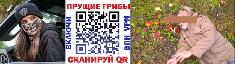 Галлюциногенные грибы мухоморы  купить наркоту  Райчихинск 